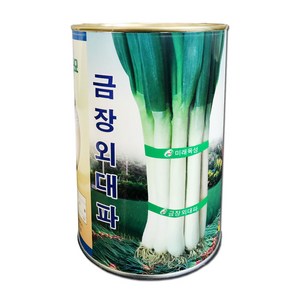 대파씨앗 금장외대파 400g 약400평 재배 중생종이며 외관이 우수함, 1개