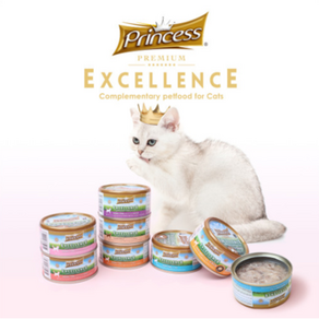 프린세스 엑셀런스 프리미엄 고양이 주식캔 70g x 24캔, 생선, 24개