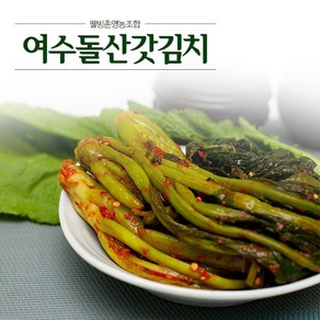 [KT알파쇼핑][웰빙촌] HACCP 인증 여수돌산갓김치2kg, 2kg, 1개