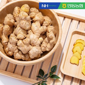 [안동농협] 육질이 단단하고 향긋한 씻어나온 세척 생강 1kg, 1개