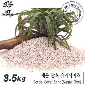 세틀 산호사 슈가 3.5kg 1포 /수족관 어항 수조 해수어 시클리드 바닥재 모래 니모 시클리트 관상어 열대어