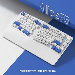 인체공학 키보드 FEKER Alice75 알루미늄 기계식 무선 트라이 모드 인체 공학적 개스킷 핫 스왑 RGB 맞춤형 75 사무실 게임용, 없음, 없음, 3) White Blue - flowe-seek Sw