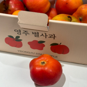 고당도 영주 별사과 미니별사과, 1세트, 가정용1kg(17~25과)