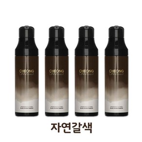 청담스타일 포레스트 블랙체인지 샴푸 자연갈색, 4개, 200ml