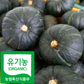 산지직송 국내산 유기농 단호박 밤호박, 1개, 5kg