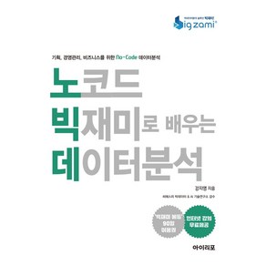 노코드 빅재미로 배우는 데이터분석:기획 경영관리 비즈니스를 위한 No-Code 데이터분석, 아이리포, 노코드 빅재미로 배우는 데이터분석, 강지영(저), 강지영