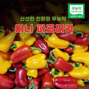 [최상품] 하프팜 친환경 무농약 미니 파프리카 (혼합), 1개, 1kg(특상)