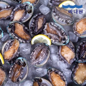 [바다원(주)] 바다원 산지직송 완도 활전복 1kg (30-40미 내외), 1개