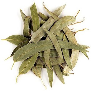 Eucalyptus Oganic Loose Tea Leaves - Soft And Th 유칼립투스 유기농 느슨한 찻잎 - 부드럽고 목구멍 코팅 - 블랙버트 - 유칼립투스 찻잎, 1개, 181.44g