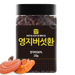 영지버섯환 250g 국산 국내산