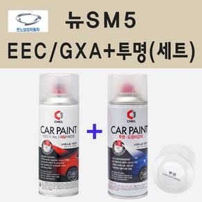 삼성 뉴SM5 EEC GXA 블랙메탈릭 스프레이 페인트 + 투명스프레이, 1개