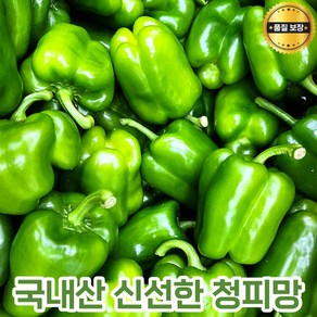 국내산 청피망 못난이피망 피망 아삭아삭 싱싱한피망 국산 로컬푸드 파프리카 청색 초록채소 산지직송 선별피망