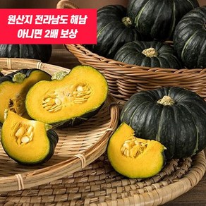 열매농장 해남 직송 미니밤호박, 1박스, 4kg