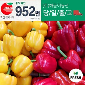 <해돋이농산> 국내산 못난이 파프리카 빨강 1kg 2kg 1박스 (4.5kg내외)