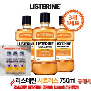 [리스테린 검케어 [100미리 증정] 리스테린 내츄럴시트러스 750미리 * 3 + 100미리 증정 3, 3개, 750ml