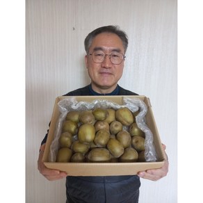 제주에서 온 맛있는 레드키위, 1박스, 2kg 중과