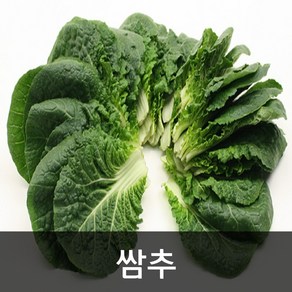 약수농장 국내산 쌈추 2kg