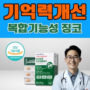 직장인 개별포장 혈행개선 기억력향상 징코빌로바, 1개, 30정