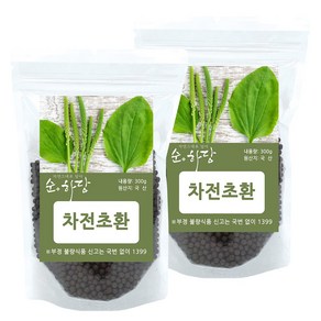 순하당 국산 차전초환 (질경이환), 2개, 300g