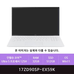 LG 그램 프로17 17ZD90SP-EX59K Win11설치(zoaa)