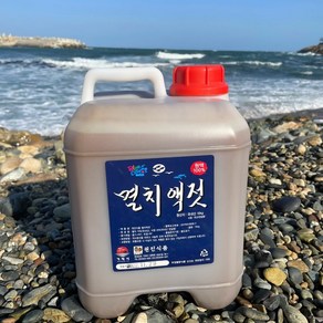 거제도 원진식품 멸치진젓 5kg 10kg, 1개