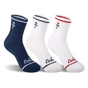 까스텔바작 CSW-01 쿠션 압박 중목 양말, white ed+white navy + navy, 1개