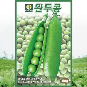 다농 완두콩 씨앗 50g 왜성종 완두콩씨 종자, 1개