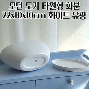 하이그로시유광 타원형 도기화분 22X10X10CM 화려한화분 심플한화분 모던스타일 도자기화분, 1개