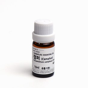 새로핸즈 천연 아로마 에센셜오일 캠퍼오일 10ml, 단품, 1개