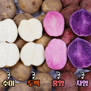 괴산 4종 햇감자 수미 두백 홍영 자영 감자, 괴산수미감자대왕3kg, 1개