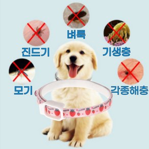 강아지 고양이 모기 진드기 해충퇴치 목걸이