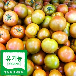 산지직송 국내산 친환경 동양종 찰 토마토, 1박스, 2kg