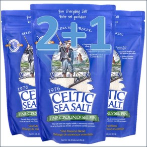 [2+1] 셀틱 씨 솔트 Celtic Sea Salt 고운 소금 바이탈 미네랄 블랜드 454g / 해외직구 미국정품, 3개