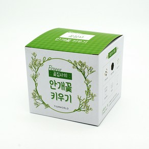 꽃집사 안개꽃 키우기 미니화분 홈가드닝 씨앗 꽃 기르기 화분 세트