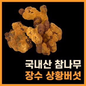 상황버섯 차 진액 국내산 100% 프리미엄 장수상황버섯 절편 당뇨에좋은, 250g, 1개