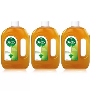 3팩 데톨 향균 안티 박테리아 소독액 살균제 소독제 750ML Dettol Oiginal Liquid Antiseptic Disinfectant fo Fist, 3개