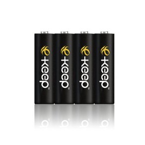 LEXEL 2500mAh AA 4알 블랙 충전지, 4개입, 1개