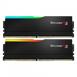 G.SKILL DDR5-5600 CL40 RIPJAWS M5 RGB 블랙 패키지 (96GB(48Gx2)), 2개