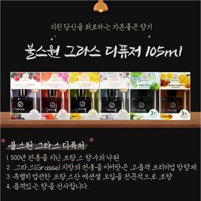 불스원 그라스 디퓨저 방향제 105ml, 애플사이다, 1개, 애플사이다