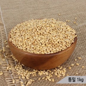 건강알곡 통밀 1kg 앵무새 햄스터 소동물 간식 사료