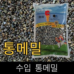 둘이 . 수입 . 메밀(통메밀) . 1kg . 2023년산 . 묶음배송가능, 1개