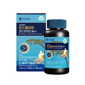 베스트식품 한미양행 보스웰리아 콘드로이친 플러스 1 000mg x 60정 1개