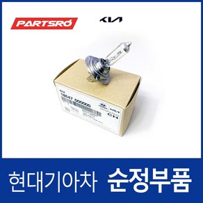 폭스바겐 CC 순정 코너링 램프 H7 전구