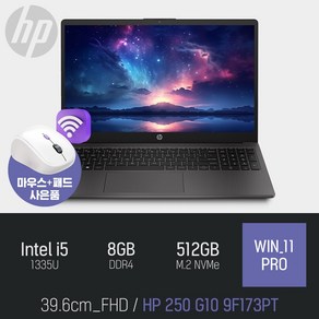 HP 250 G10 9F173PT [무선 마우스 증정], WIN11 Po, 8GB, 512GB, 블랙