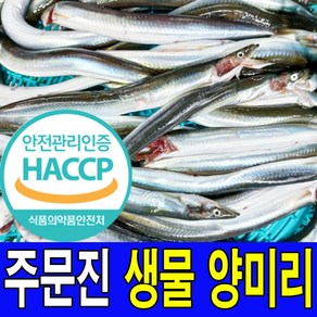 주문진 동해안 새벽에 조업한 싱싱한 생물 양미리 40마리 선주 직배송 HACCP해썹 인증업체에서 발송, 1개