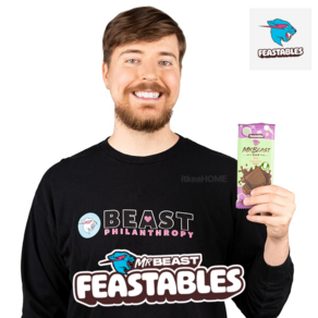 피스터블 밀크 초콜릿 10개입 미스터 비스트 MBeast Feastables, 1개, 60g