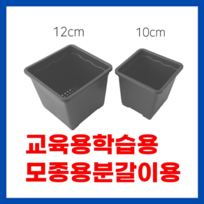 <국내생산> 삽목화분 플분 검정화분 10cm 12cm 사각화분 다육화분 플라스틱화분, 1개