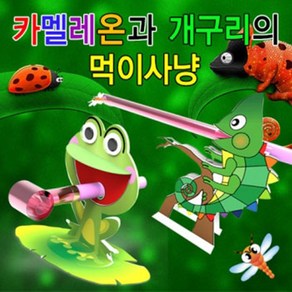 카멜레온과 개구리의 먹이사냥(카멜레온/개구리), _8668_개구리