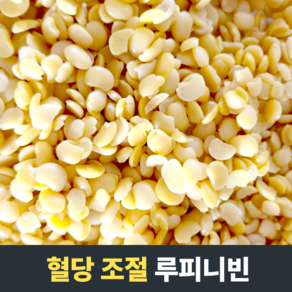 [혈당조절] BENEFARM 루피니빈 당뇨에좋은 식물성단백질 당뇨관리 단백질 당뇨콩 호주루피니빈 식이섬유 곡물 영양분 고소한, 1개, 1.2kg