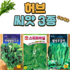 허브씨앗 3종 스위트 바질 루꼴라 고수 씨앗 허브 키우기 종자